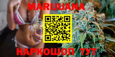 индика Ирбит