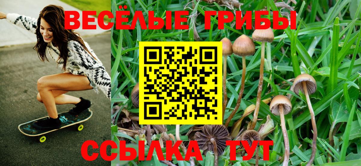 Галлюциногенные грибы мицелий Миллерово