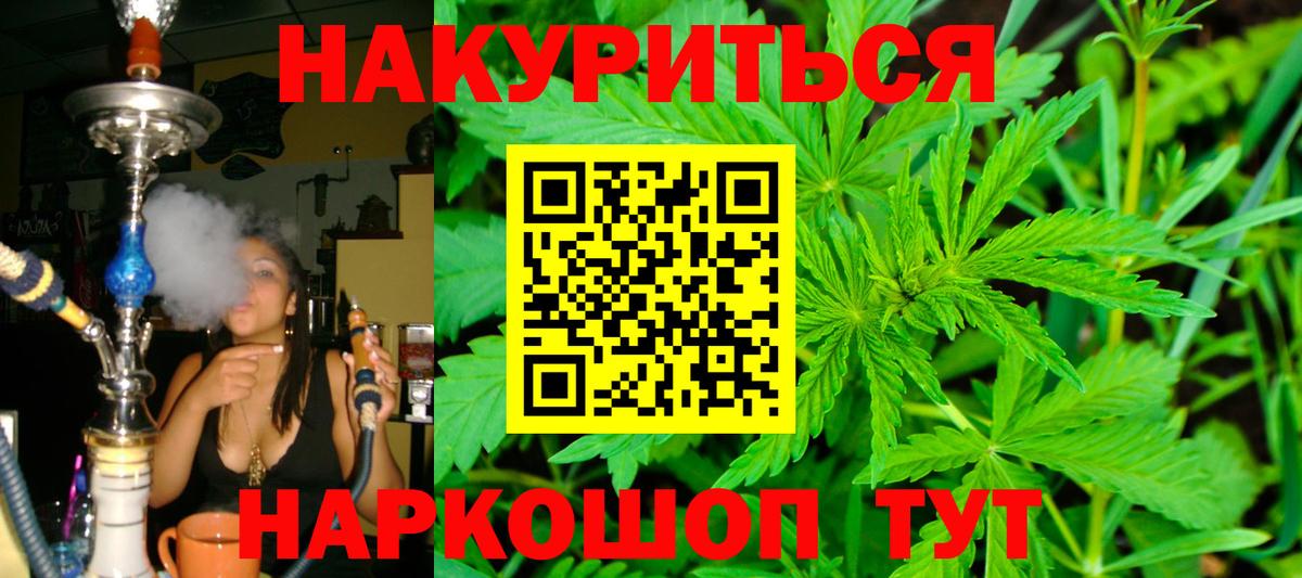 Каннабис план Миллерово